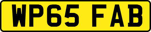 WP65FAB