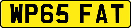 WP65FAT