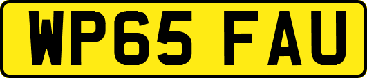 WP65FAU