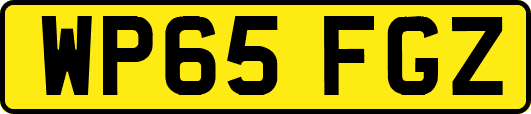 WP65FGZ