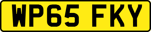 WP65FKY