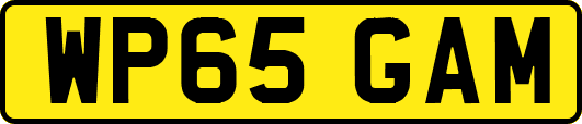 WP65GAM