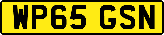 WP65GSN