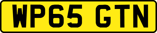 WP65GTN