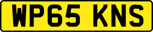WP65KNS