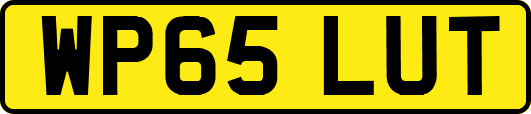WP65LUT