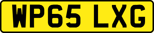 WP65LXG