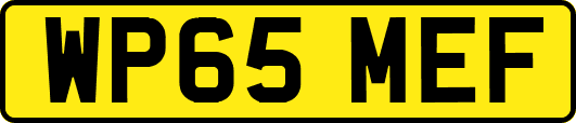 WP65MEF