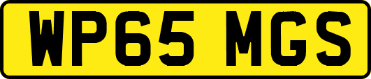 WP65MGS