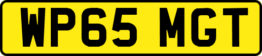 WP65MGT