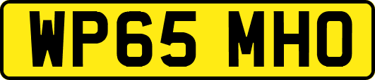 WP65MHO