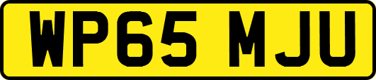 WP65MJU