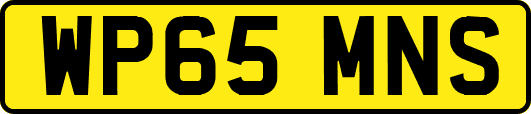 WP65MNS
