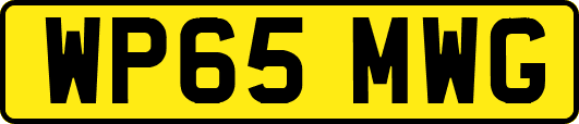 WP65MWG