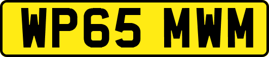 WP65MWM
