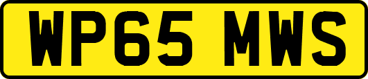 WP65MWS