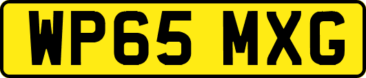 WP65MXG