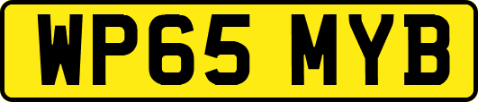WP65MYB