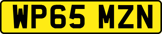 WP65MZN
