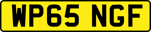 WP65NGF