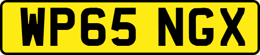 WP65NGX
