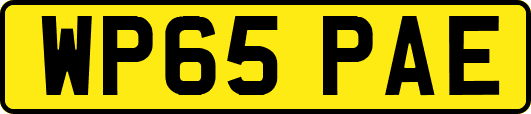 WP65PAE