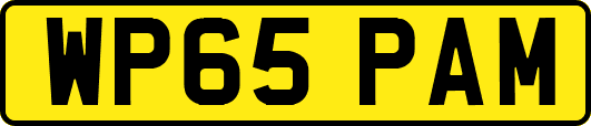 WP65PAM