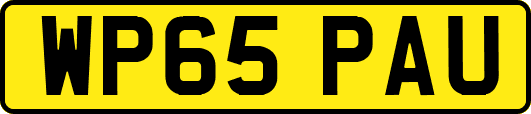 WP65PAU