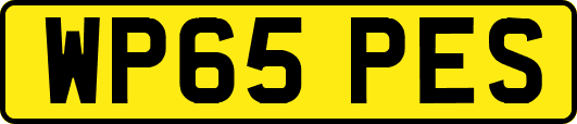 WP65PES