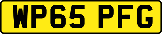 WP65PFG
