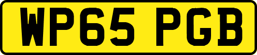 WP65PGB