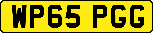 WP65PGG