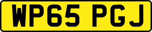 WP65PGJ