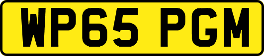 WP65PGM