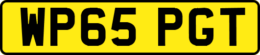 WP65PGT