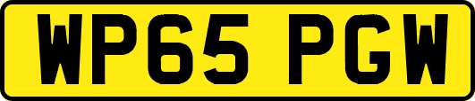 WP65PGW