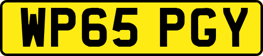 WP65PGY