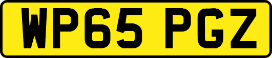 WP65PGZ