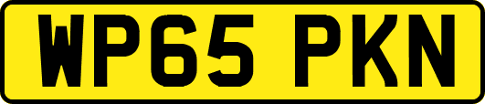 WP65PKN