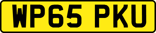 WP65PKU