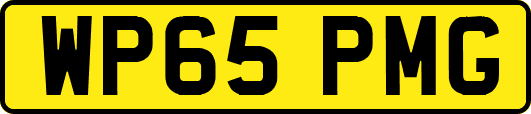WP65PMG