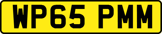 WP65PMM