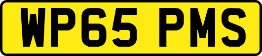 WP65PMS