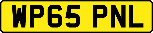 WP65PNL