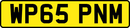 WP65PNM
