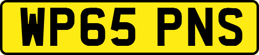 WP65PNS
