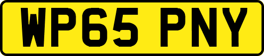 WP65PNY