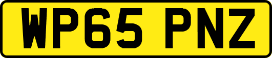 WP65PNZ