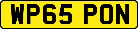 WP65PON