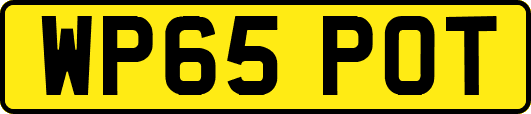 WP65POT